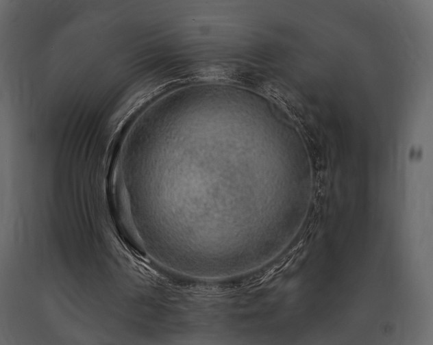 X0000091670194200708231338