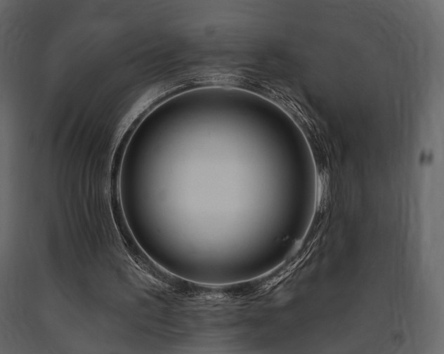 X0000091670195200708231338