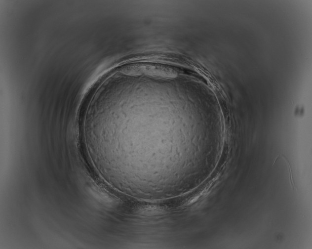 X0000091670198200708231338