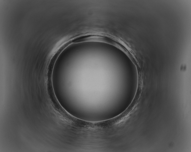 X0000091670199200708231338