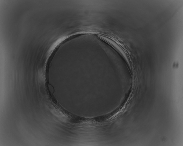 X0000091670200200708231337