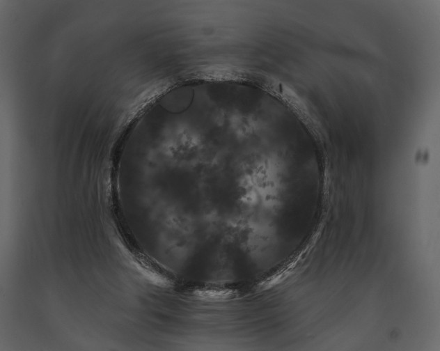 X0000091670202200708231337
