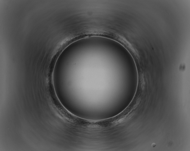 X0000091670203200708231337