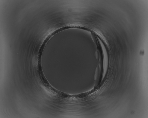 X0000091670204200708231337