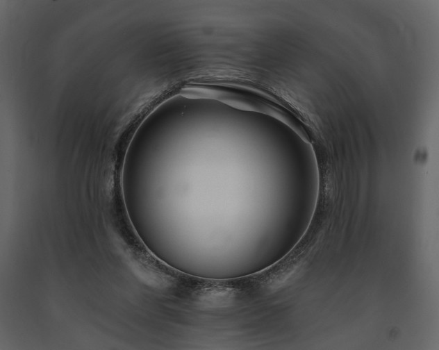 X0000091670206200708231337