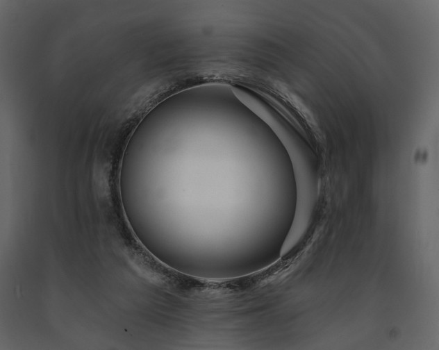 X0000091670209200708231337
