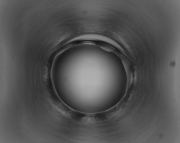 X0000091670211200708231337