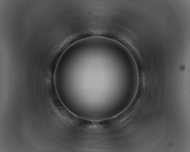 X0000091670212200708231337