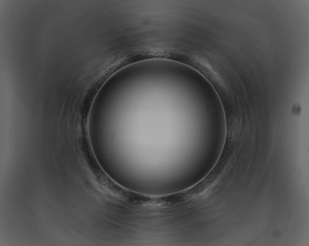 X0000091670213200708231337