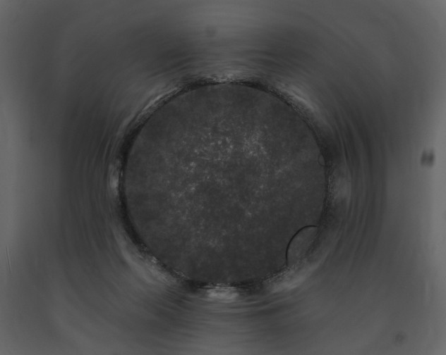 X0000091670214200708231337