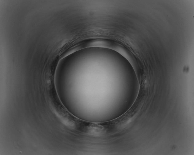 X0000091670215200708231337