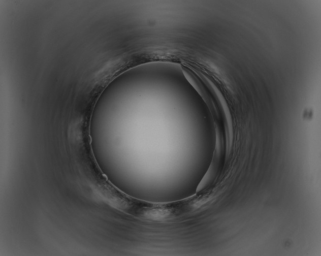 X0000091670217200708231337