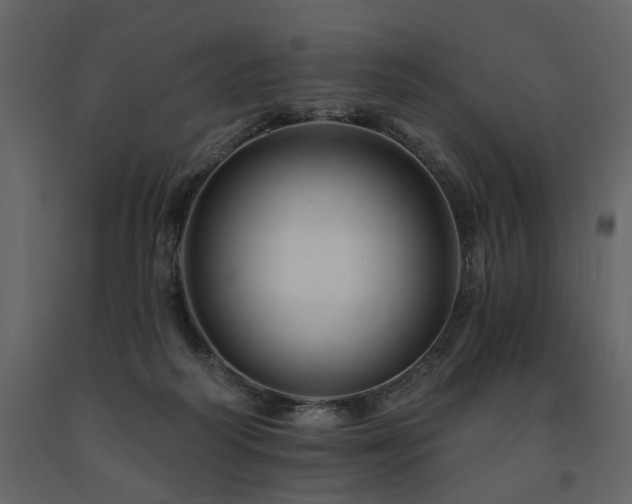 X0000091670218200708231337