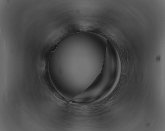 X0000091670219200708231337