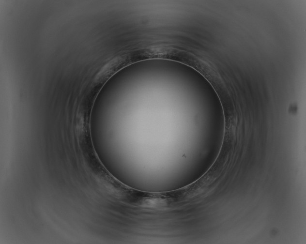 X0000091670220200708231337