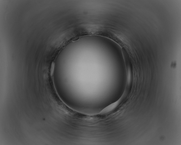 X0000091670221200708231337