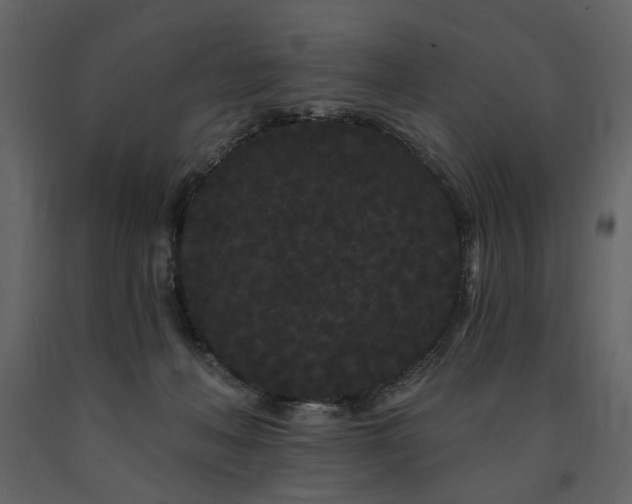 X0000091670222200708231337