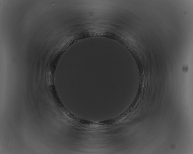 X0000091670224200708231337