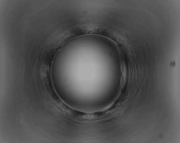 X0000091670225200708231337