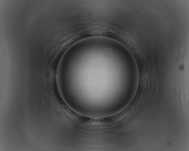 X0000091670228200708231337