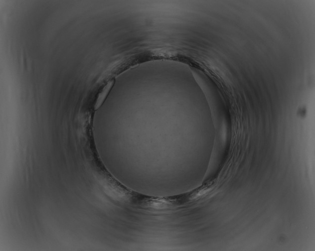 X0000091670229200708231337