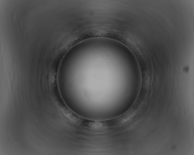 X0000091670230200708231337