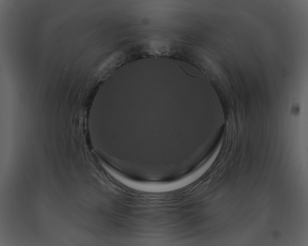 X0000091670233200708231337