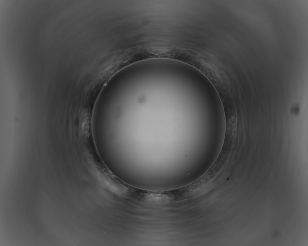 X0000091670234200708231337