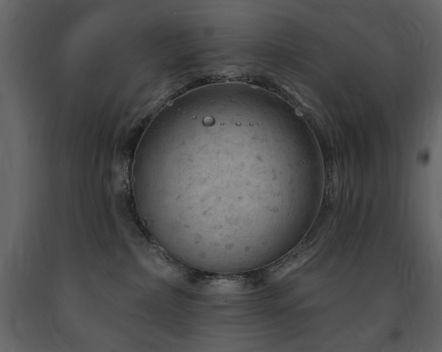 X0000091670236200708231337