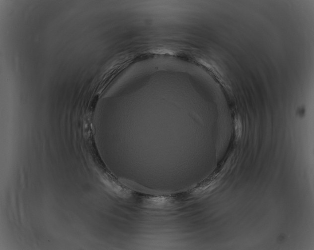 X0000091670237200708231337