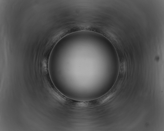 X0000091670238200708231337