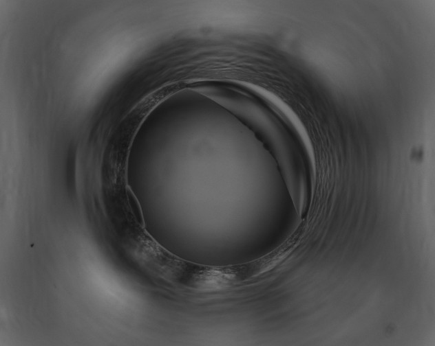 X0000091670239200708231337