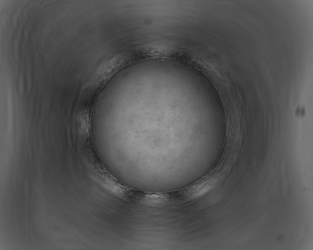 X0000091670240200708231337