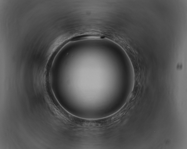 X0000091670242200708231336