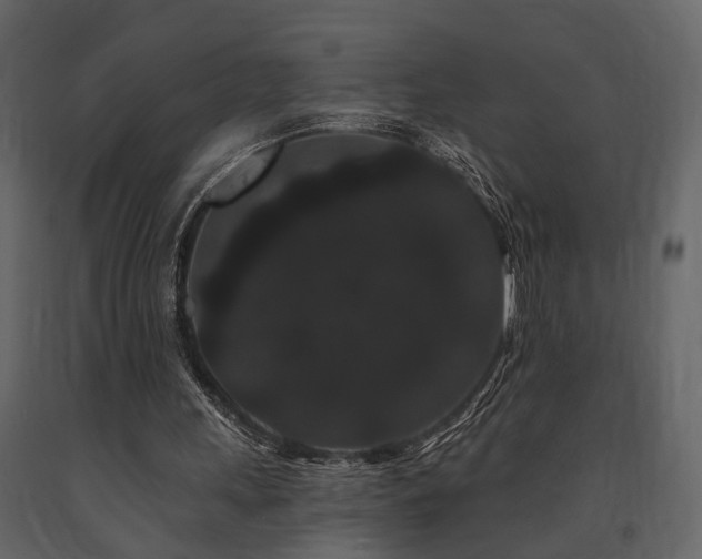 X0000091670243200708231336