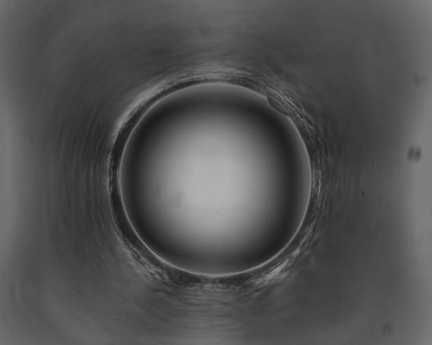 X0000091670244200708231336