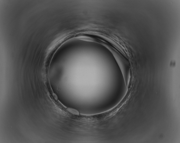 X0000091670245200708231336