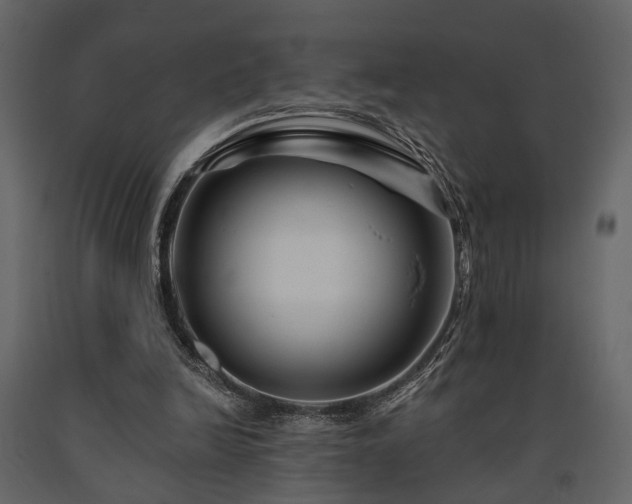 X0000091670246200708231336