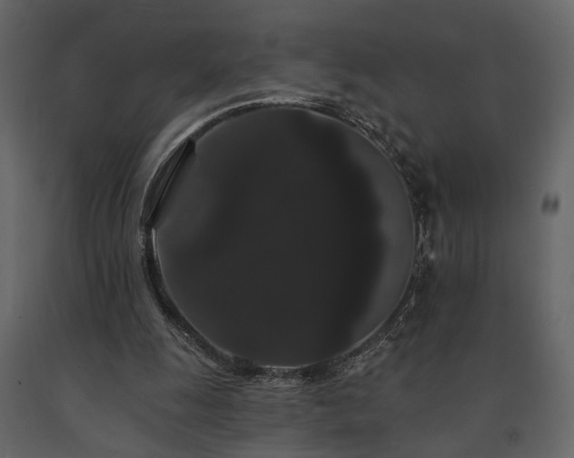 X0000091670247200708231336