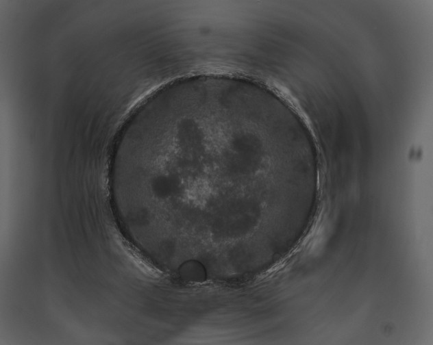 X0000091670249200708231336