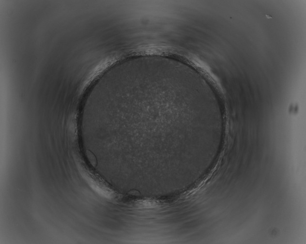 X0000091670250200708231336