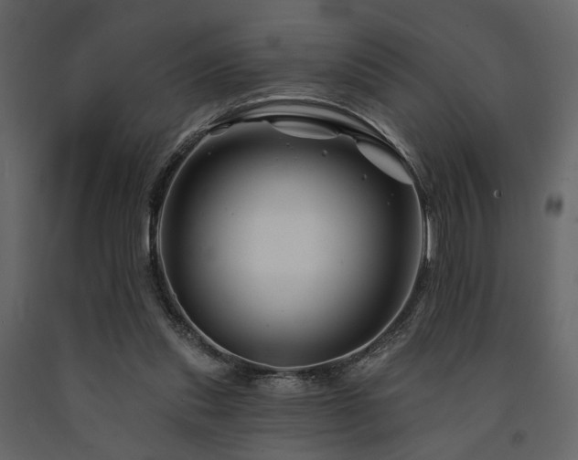 X0000091670253200708231336
