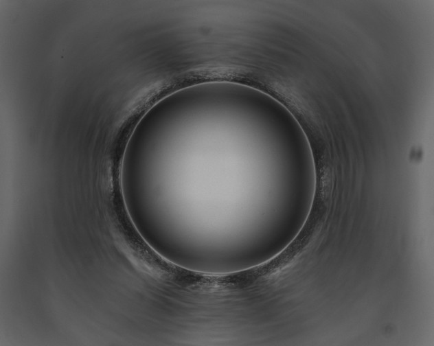 X0000091670254200708231336