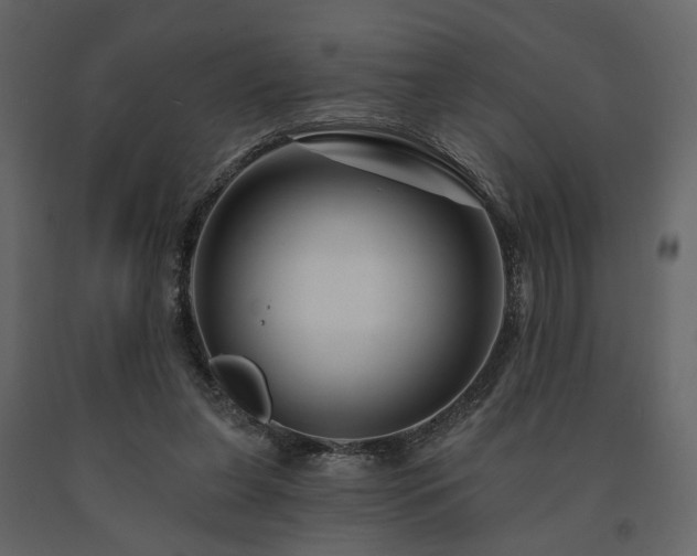 X0000091670255200708231336