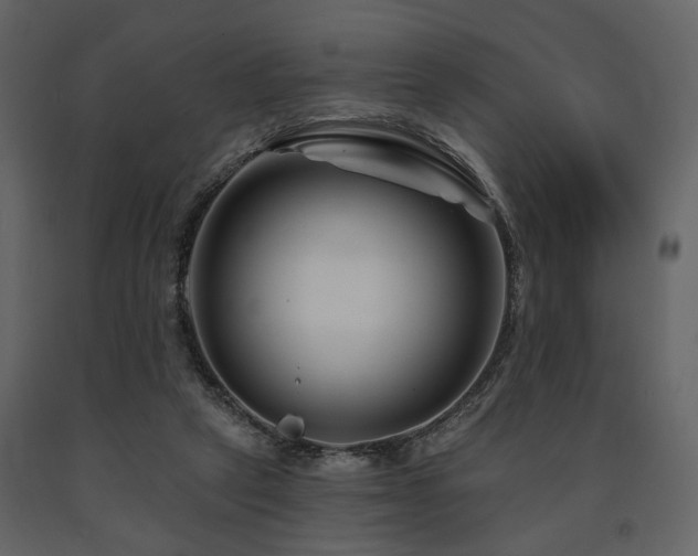 X0000091670257200708231337