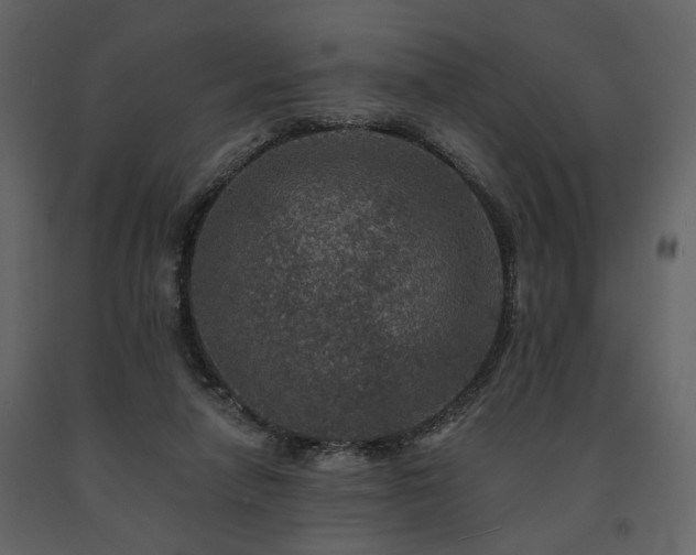X0000091670258200708231337