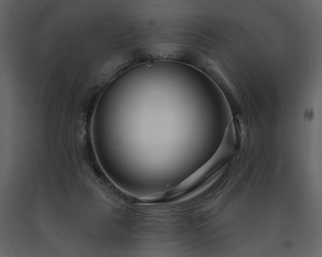 X0000091670259200708231337