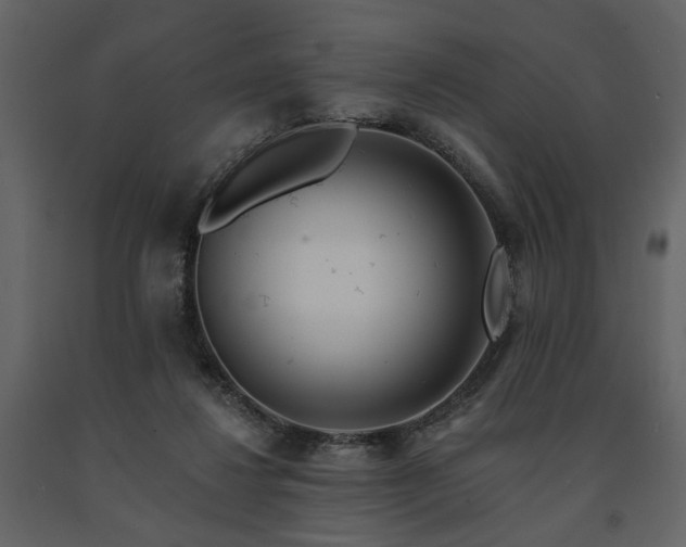 X0000091670260200708231337