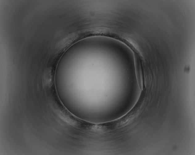 X0000091670261200708231337