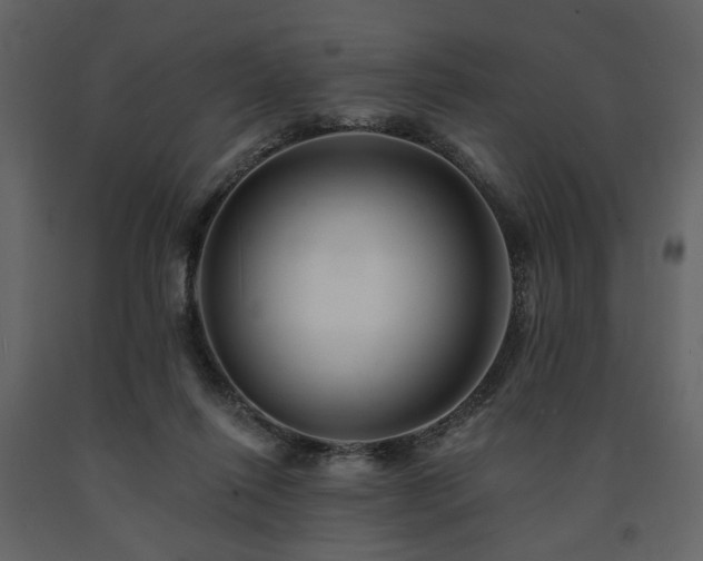 X0000091670262200708231337